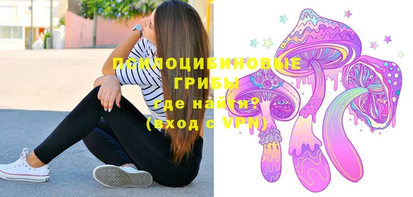 mix Гусь-Хрустальный